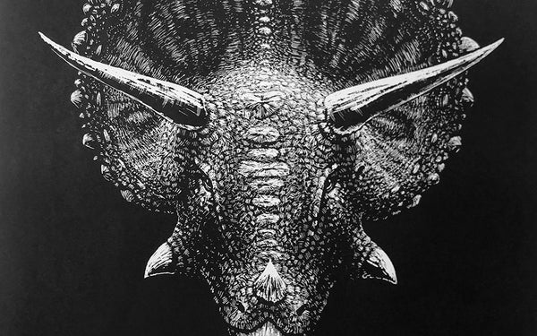 20.10.2022 | The art of Phillip Janta