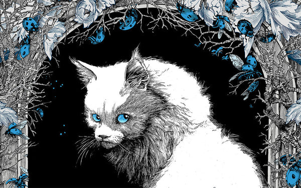 09.09.2025 | Tirages d'art Daria Schmitt