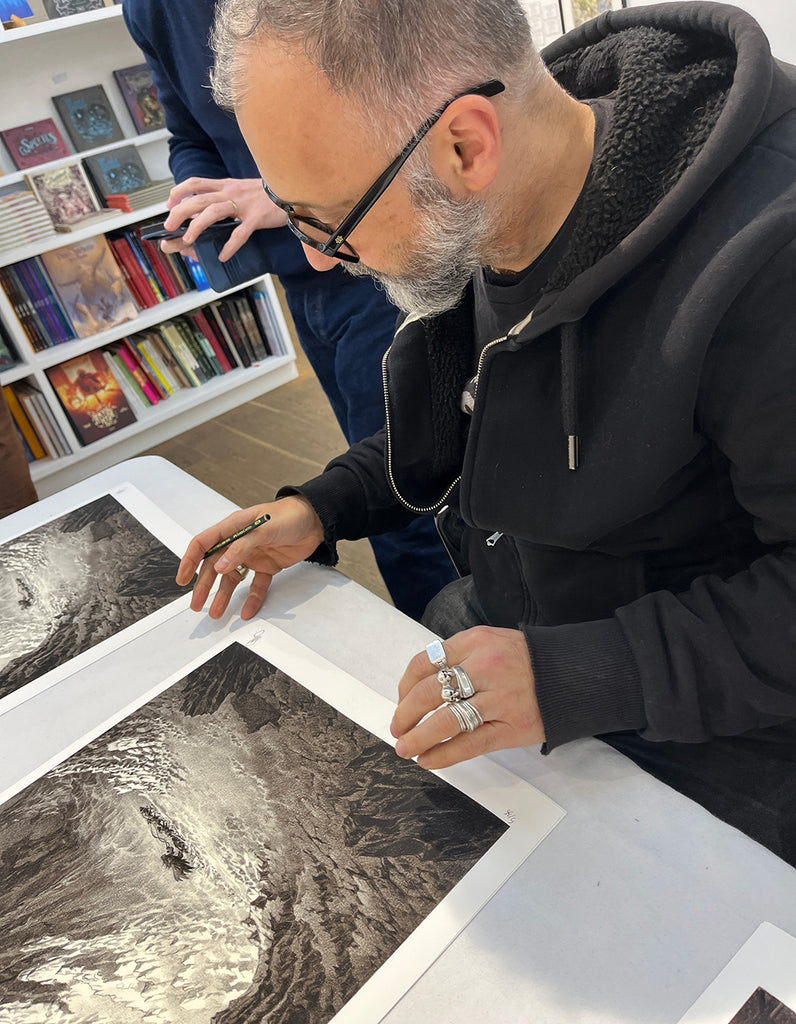 " Nous observâmes la course rapide de ce voyageur "