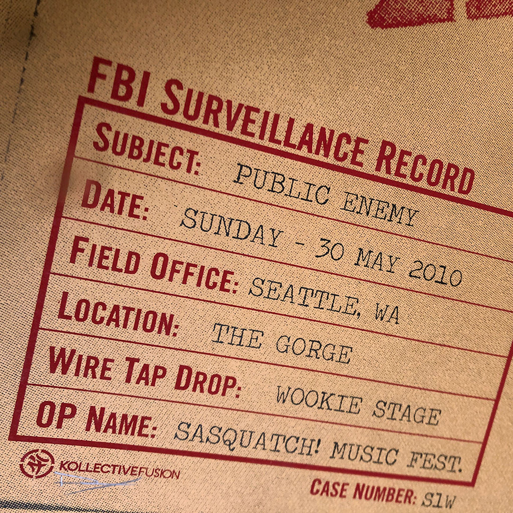 Public Enemy (Seattle 2010)