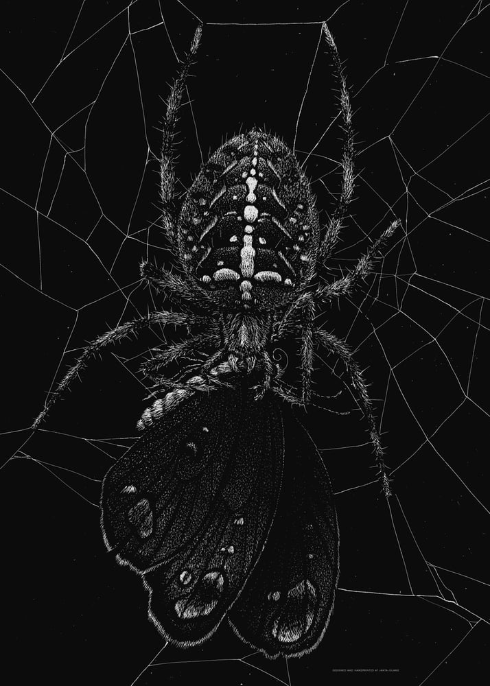 L’Araignée et le papillon