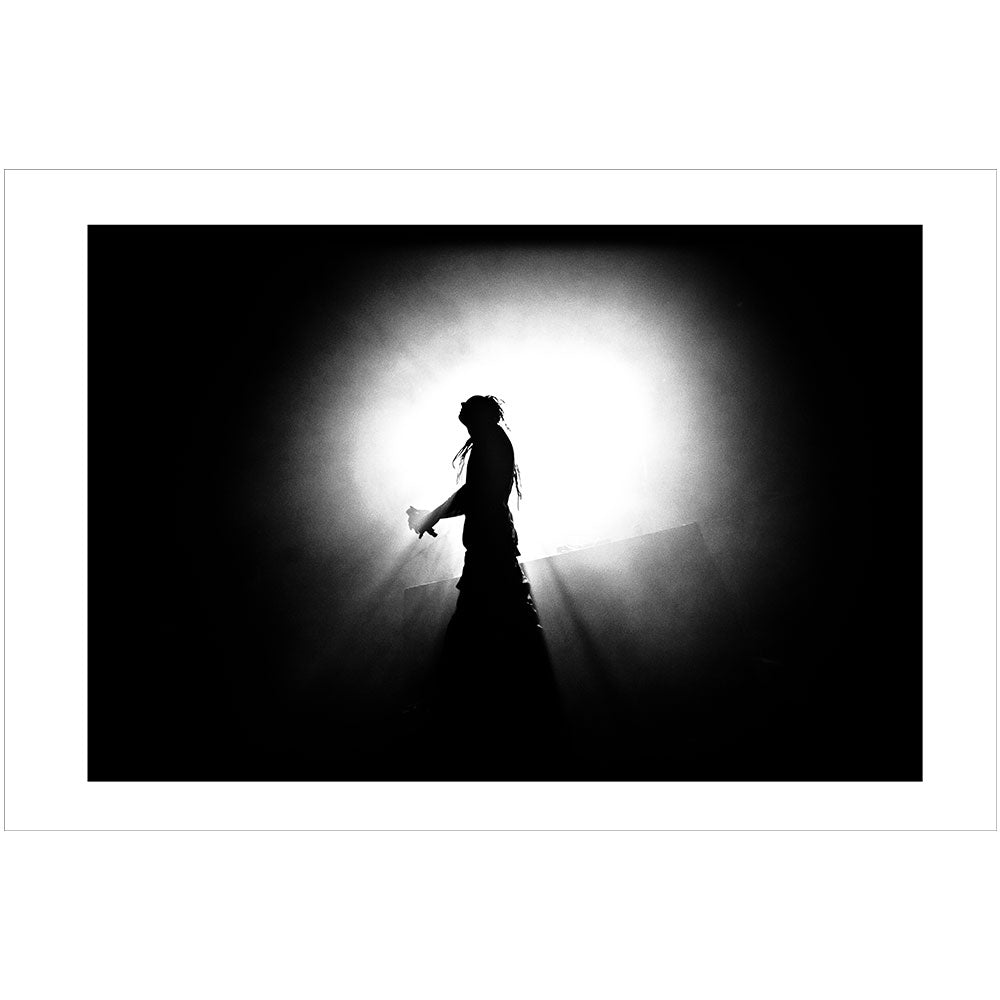 Devil J, Bataclan Paris 2012