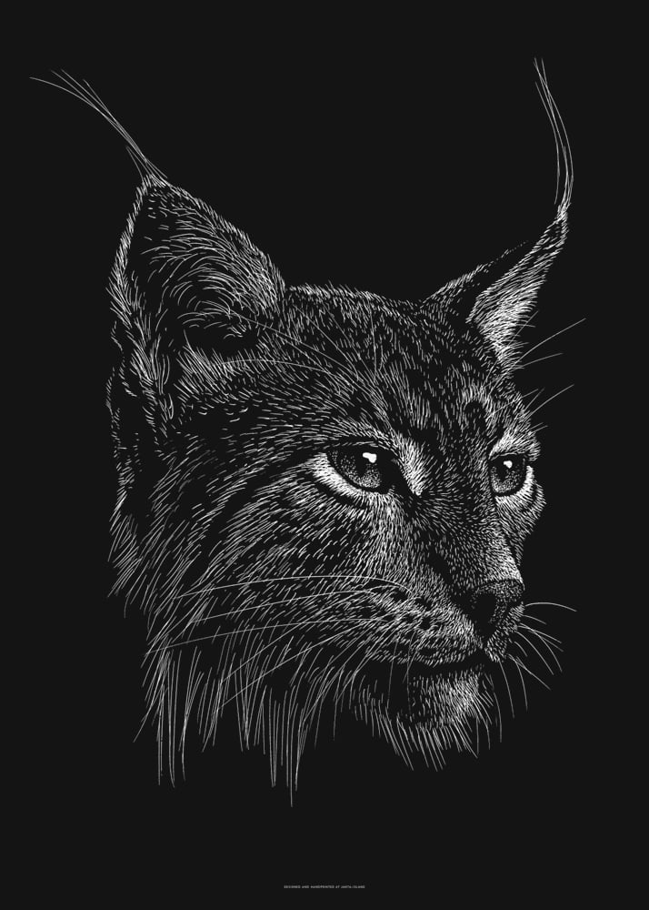 Lynx