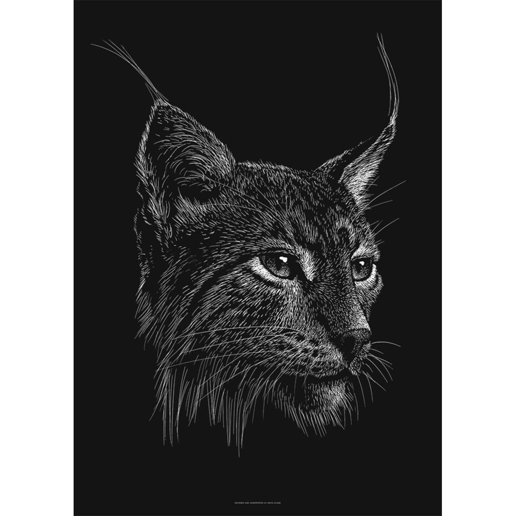 Lynx