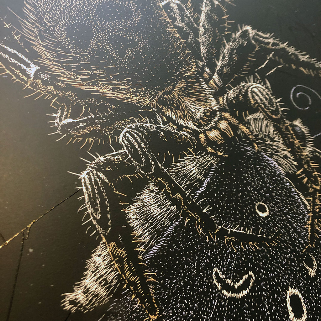 Metallica (Lisbonne 2022)