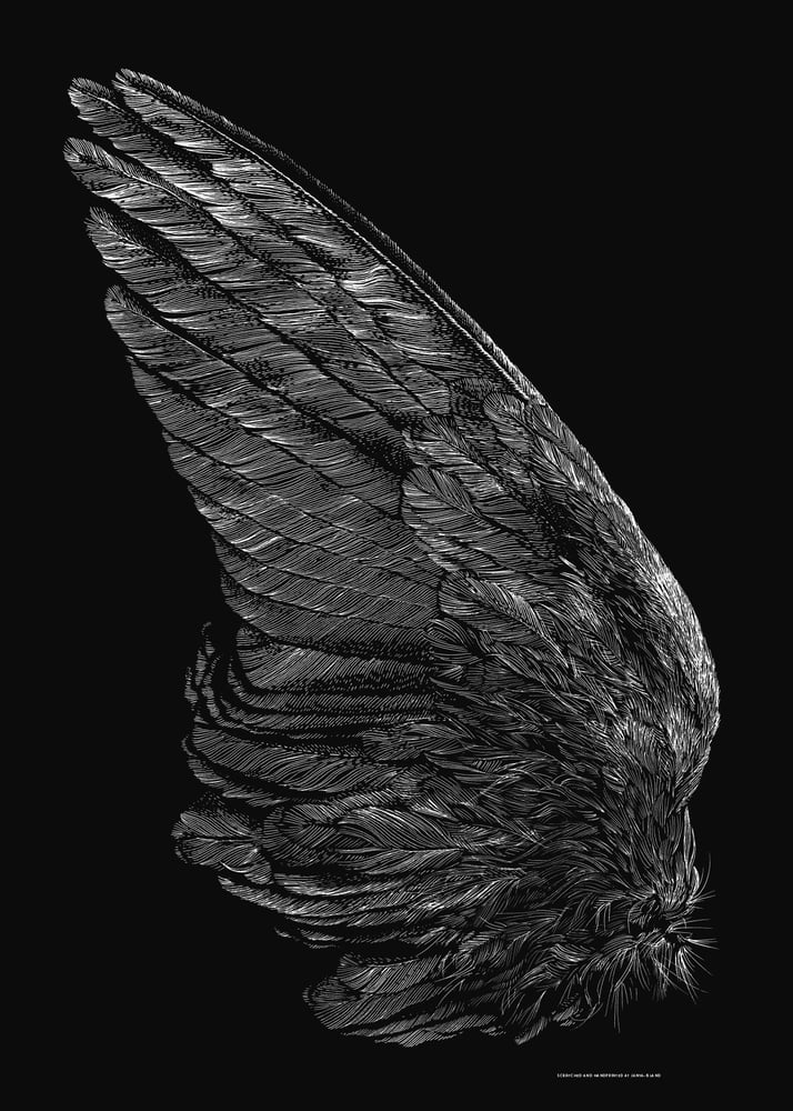 Wing
