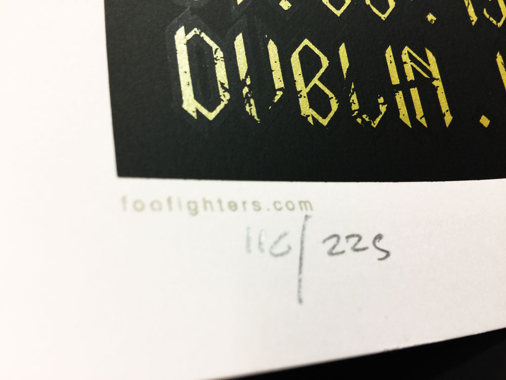 Foo Fighters (Dublin 2019), Rhys Cooper - French Paper Art Club