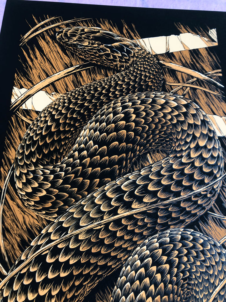 Foo Fighters (Hobart 2015)