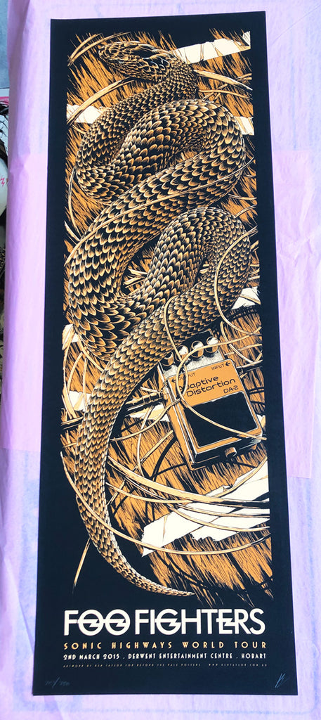 Foo Fighters (Hobart 2015)