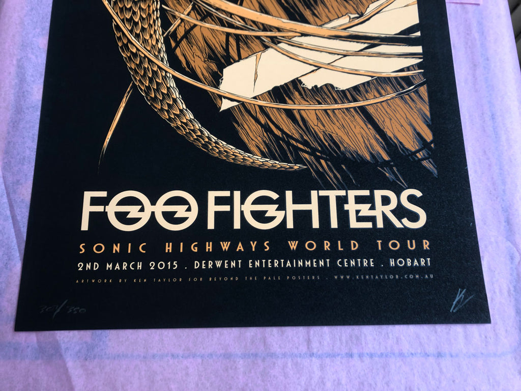 Foo Fighters (Hobart 2015)