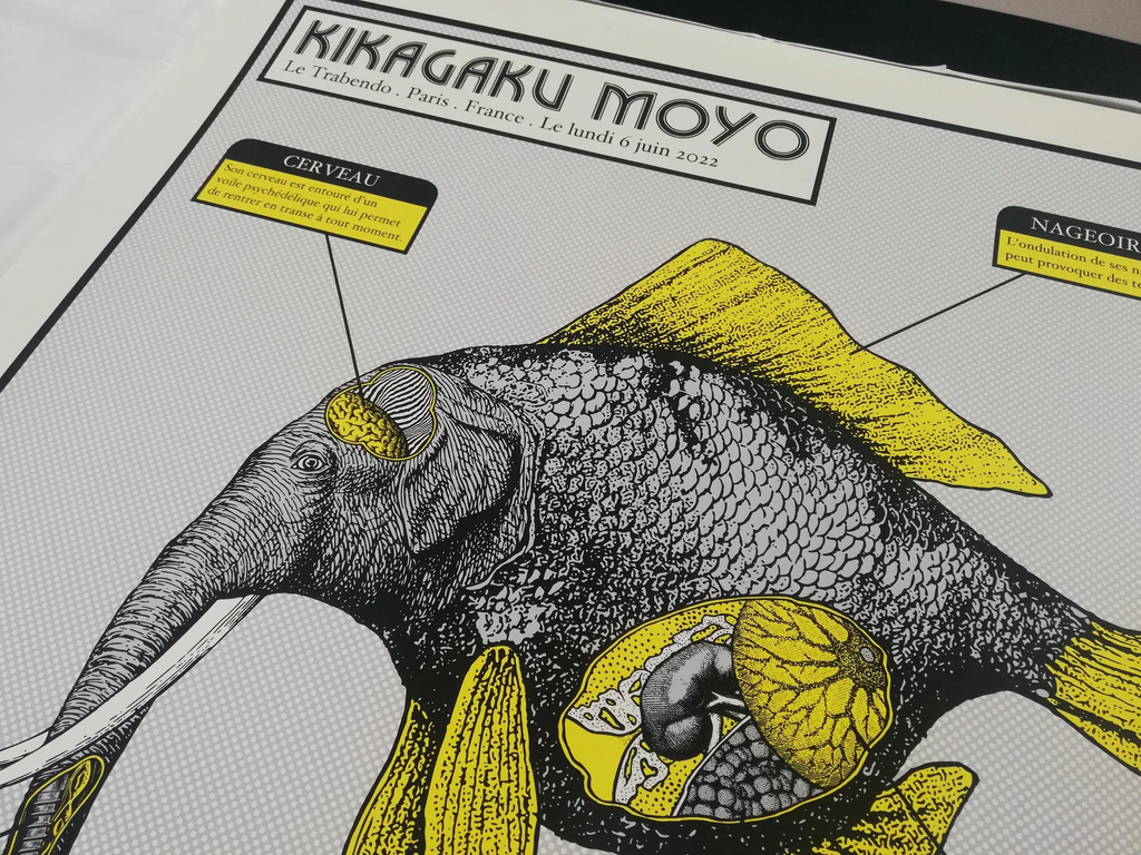 Kikagaku Moyo (Paris 2022)