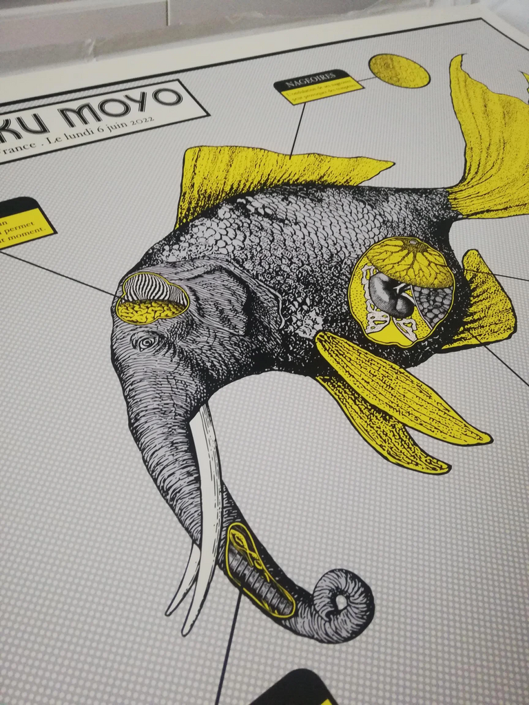 Kikagaku Moyo (Paris 2022)