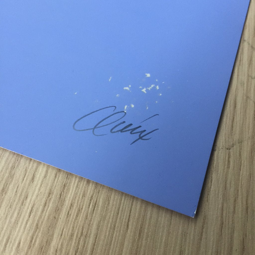 Franz Ferdinand (Monterrey 2019)