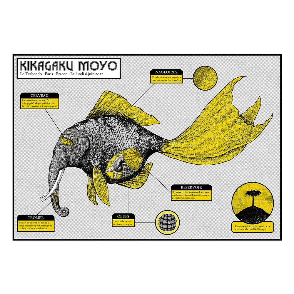 Kikagaku Moyo (Paris 2022)