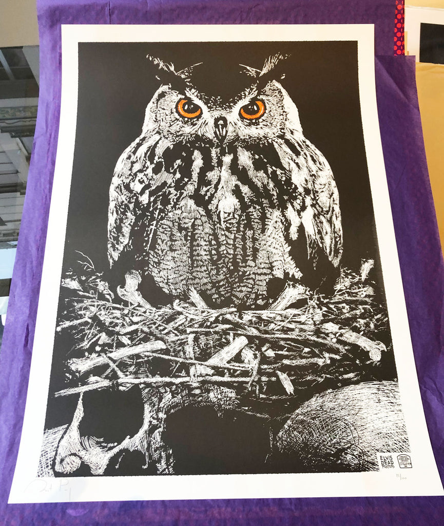 Owl of Death (Orange Variant)