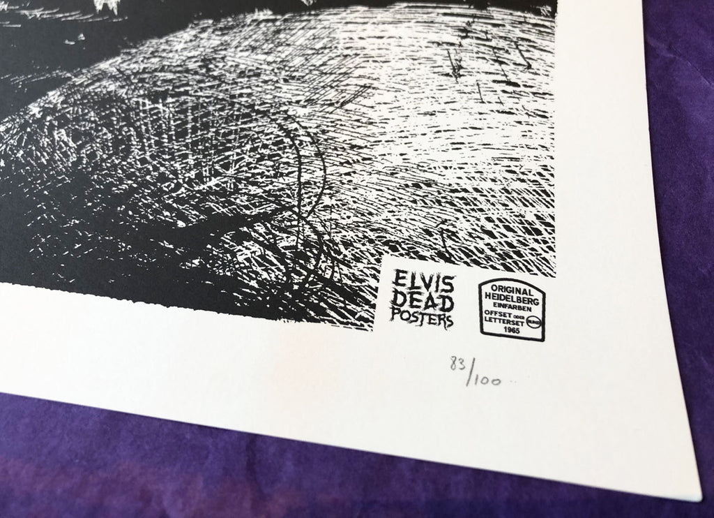 Owl of Death (Orange Variant)