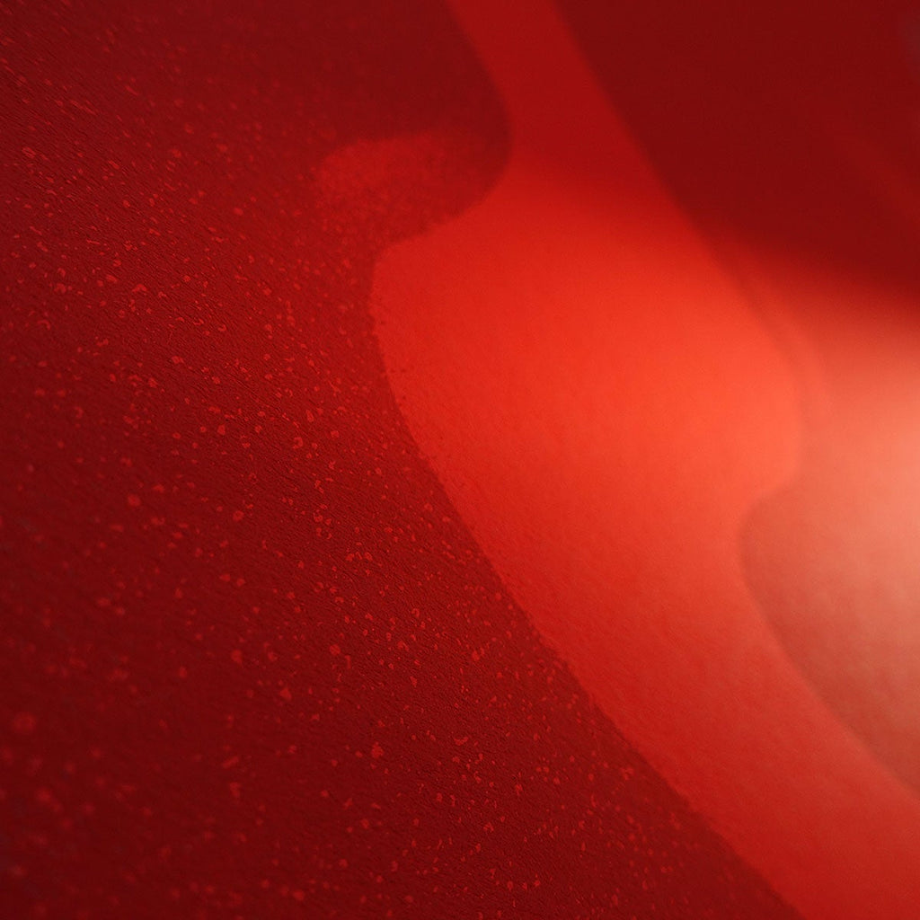 Shout Out Louds (2019)