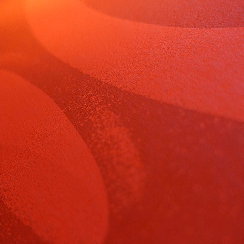 Shout Out Louds (2019)