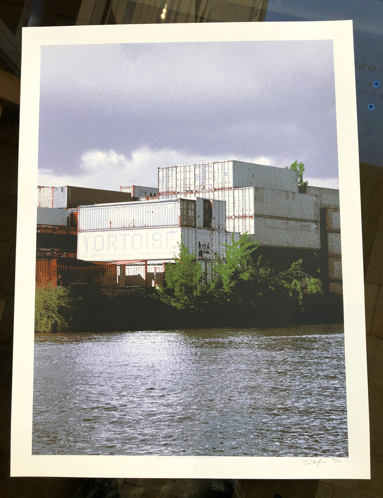 Tortoise (Chicago 2016)