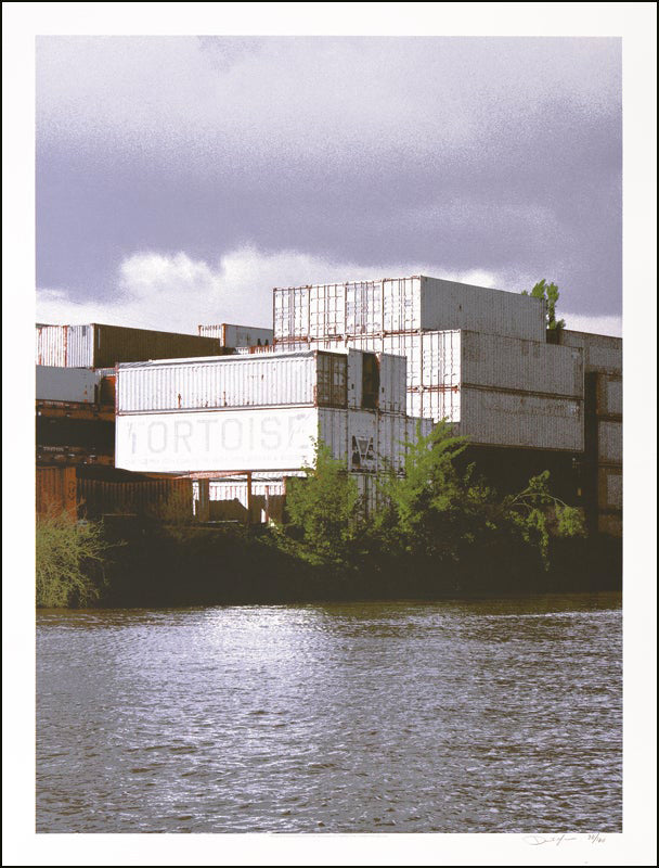 Tortoise (Chicago 2016)