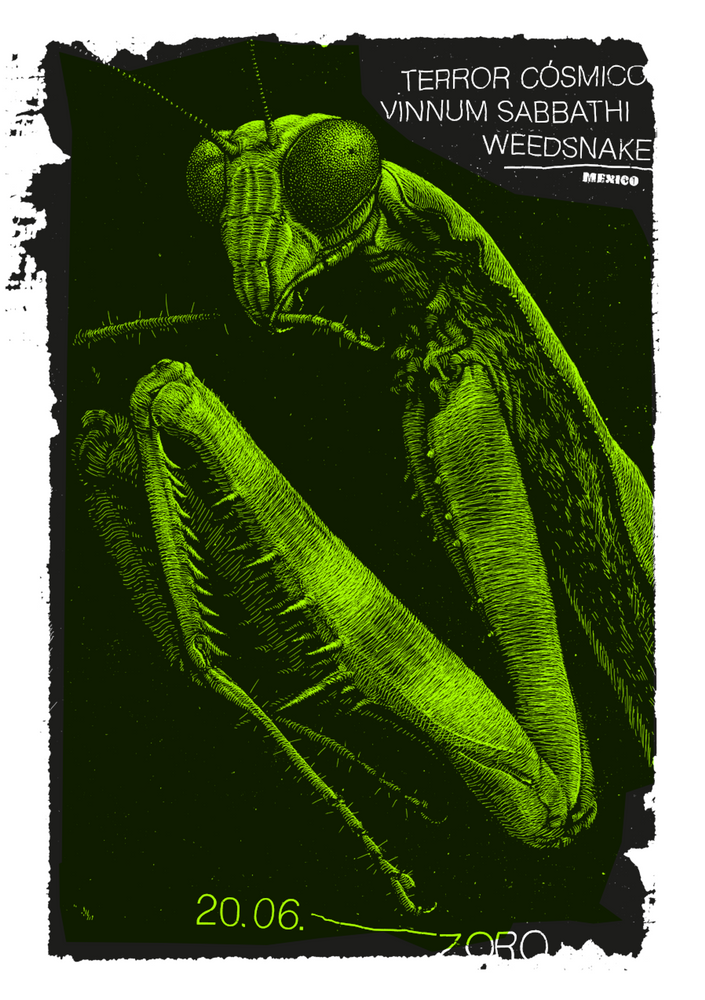 Zoro (Leipzig 2017), Phillip Janta - French Paper Art Club